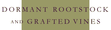 Dormant Rootstock and Grafted Vines